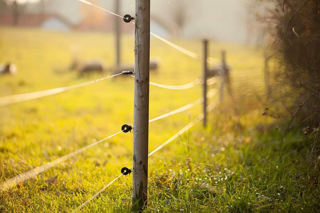 cloture electrique