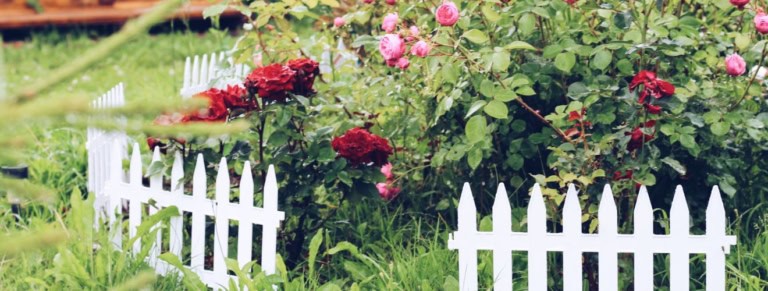 petit jardin amenage