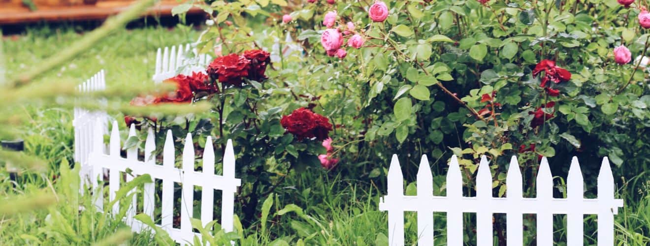 petit jardin amenage
